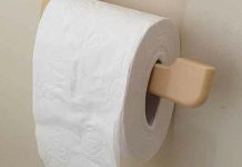 Recite zbogom WC papiru, ovaj japanski izum je hit