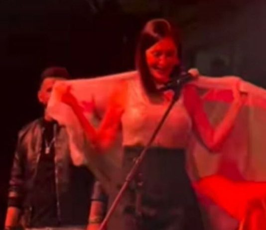 Ceca na koncertu u Sjevernoj Makedoniji zgrozila publiku: Evo šta se desilo