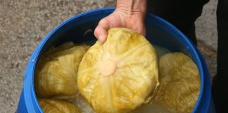 Svi ga jedemo zimi, ali malo ko zna šta kiseli kupus zapravo radi tijelu