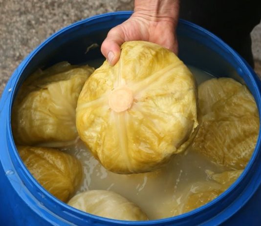 Svi ga jedemo zimi, ali malo ko zna šta kiseli kupus zapravo radi tijelu