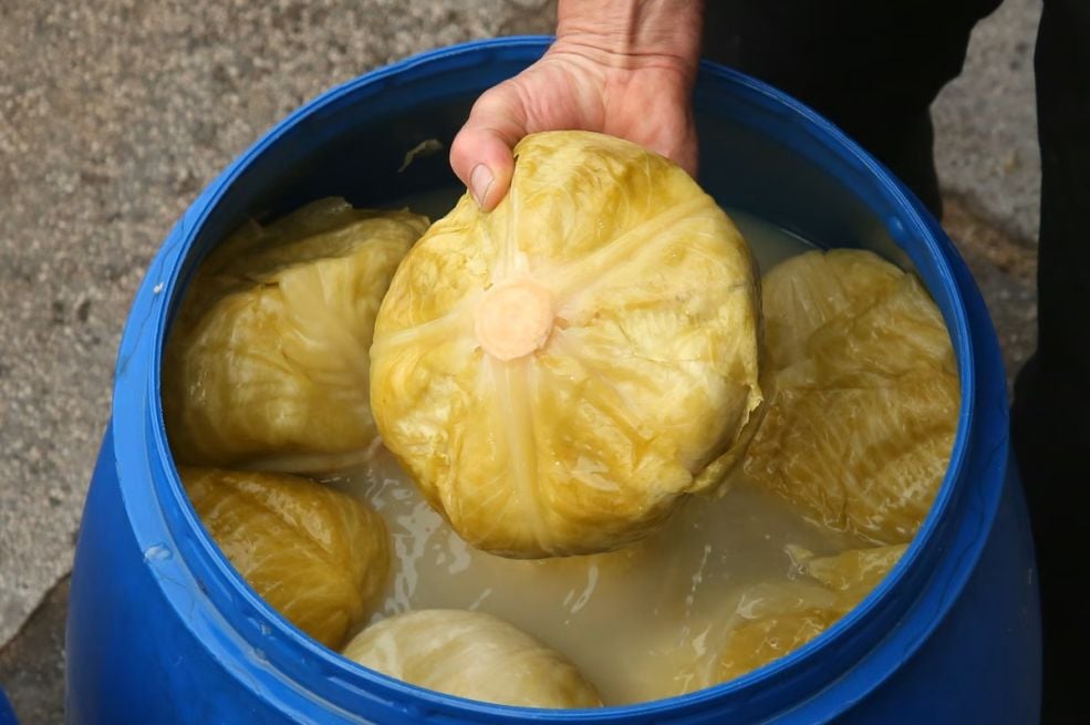 1762440864-1762174387-pxl-231215-12454046format-avifwidth-1200-690x480