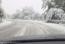 21.11.2025: Šta znači ako baš za Aranđelovdan padne snijeg?