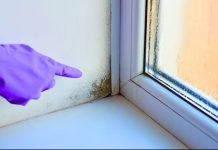 Stručnjak otkrio trik: Evo kako da vaši prozori ove zime ostanu suhi, bez vlage i plijesni