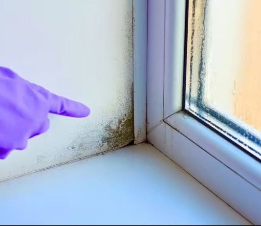 Stručnjak otkrio trik: Evo kako da vaši prozori ove zime ostanu suhi, bez vlage i plijesni