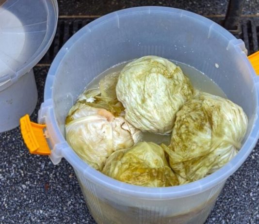 Ako se uhvati bijela skrama morate ga baciti? 3 najčešće greške zbog kojih se kiseli kupus pokvari