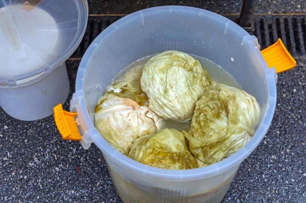 1763491577-390112-kiseli-kupus-shutterstock-2142394533-ff-690x480