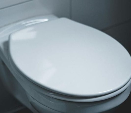 Zašto uvijek trebate držati poklopac WC školjke zatvoren: Iznenađujući razlozi stručnjaka