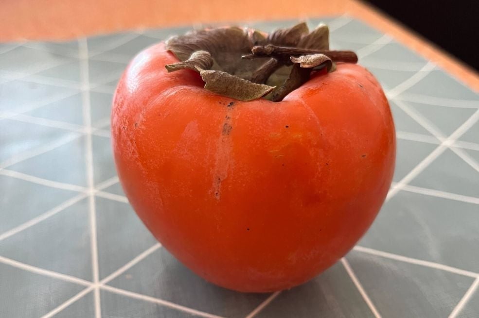 1764090907-japanska-jabuka-scaled-690x480