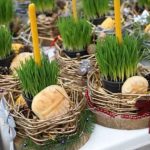 Ako se BOŽIĆNA PŠENICA POSADI NA OVAJ DAN kuća će biti blagoslovena cele godine