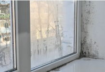 Moler otkrio kako da se riješite vlage i buđi: Dovoljna je samo jedna čašica ovog proizvoda