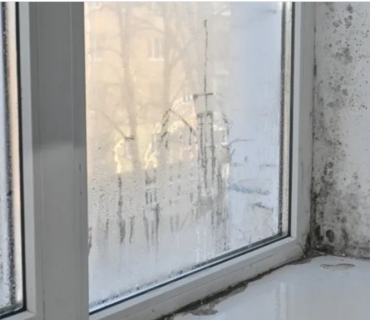 Moler otkrio kako da se riješite vlage i buđi: Dovoljna je samo jedna čašica ovog proizvoda