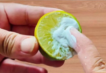 Umro bih i ne bih znao: SAMO stavi pastu za zube na limun i nikad više neću imati ovaj problem