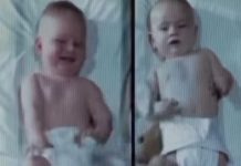 Ovaj eksperiment predstavlja najtužniju i najupečatljivija zapažanja u razvojnoj psihologiji.