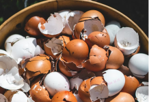 Lekari otkrivaju: prokuvajte ljuske od jaja i recite zbogom…