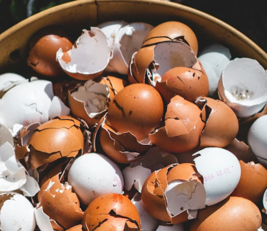 Lekari otkrivaju: prokuvajte ljuske od jaja i recite zbogom…