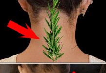 Nisam mogla da se uspravim zbog bolova u vratu i leđima – Evo kako mi je običan ruzmarin pomogao!