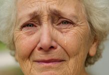 Milan je smjestio baku u helikopter i odveo je u novi život — život sa toplinom, brigom, dostojanstvom i zahvalnošću koju je oduvijek zaslužila.