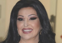 Dragana više neće biti sama, on D0LAZl u dvorac Ebenfurt: Poznat i mlad, svi ga znate: sin joj može biti …