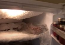 Ako vam se u zamrzivaču ili frižideru nakuplja led, ubacite samo jednu namirnicu i nestat će