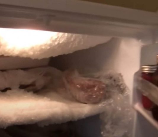 Ako vam se u zamrzivaču ili frižideru nakuplja led, ubacite samo jednu namirnicu i nestat će