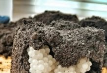 Šta Otkrivaju Bele Kuglice U Zemlji I Kako Zaštititi Svoju Baštu