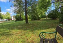 Njene reči zaustavile su mu dah – i od tog dana više ništa nije bilo isto!