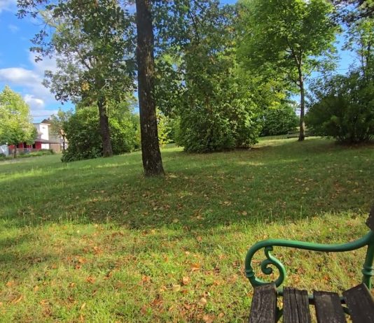 Njene reči zaustavile su mu dah – i od tog dana više ništa nije bilo isto!