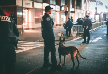 Četiri Godine Tišine I Nade