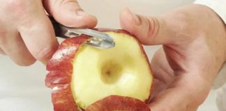 Pojeli ste sjemenku jabuke slučajno? Evo šta trebate znati