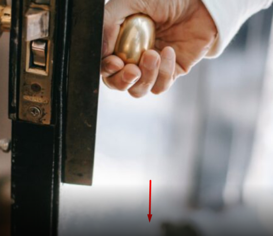 Sreća će se useliti u vašu kuću i novac će kapati kao kiša: Samo postavite OVO u blizini ulaznih vrata (Foto)