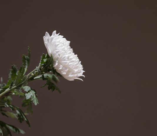 Kada Se Dobrota Pojavi U Najtežem Trenutku: Priča O Katarini, Ženi Koju Je Spasila Ljudskost