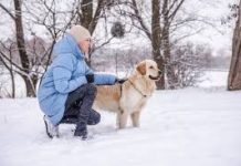 Priča o povjerenju , odanosti i neobičnoj vezi između ljudi i životinja