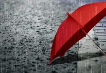 Rekla je: “Nisam ti ja šofer” — ali ono što se dogodilo tri dana kasnije promijenilo je sve