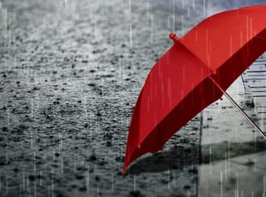 Rekla je: “Nisam ti ja šofer” — ali ono što se dogodilo tri dana kasnije promijenilo je sve