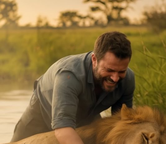 Čovjek koji je spasio lava: trenutak neprocenjivog zahvalnosti