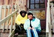 Sandra se godinama kupala i spavala sa šimpanzom ne sluteći šta će joj se desiti: Od užasa koji je doživeo ni danas se nije oporavila