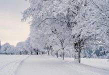 Jedna mala pomoć na putu dovela je do velikog iznenađenja