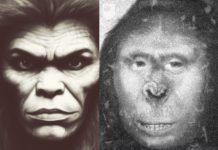 Zana je najmisterioznija žena iz diviljne, a tvrdi da je životinja: Njeni potomci danas imaju neverovatne sposobnosti koje šokiraju ljude