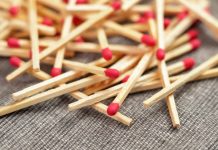 Zašto sve više ljudi stavlja šibicu u saksiju? Nećete verovati kako utiče na biljke