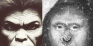 Zana je najmisterioznija žena iz diviljne, a tvrdi da je životinja: Njeni potomci danas imaju neverovatne sposobnosti koje šokiraju ljude