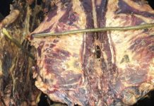 Kupio pokvareno suho meso: Kada vidite kakvo je unutra, zgrozit ćete se