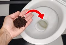 Dovoljna je jedna čajna žličica: zato sve više ljudi baca talog kave u WC školjku