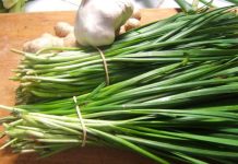 Luk vlašac začin za savršeno zdravlje