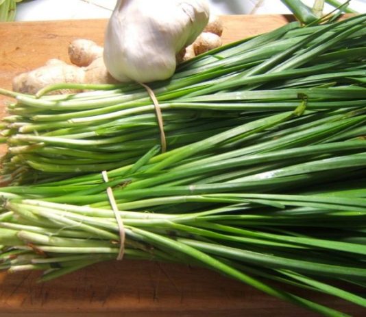 Luk vlašac začin za savršeno zdravlje