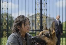 Čudesna snaga ljubavi: Kako je mala devojčica ukrotila psa i promenila sudbinu milijardera