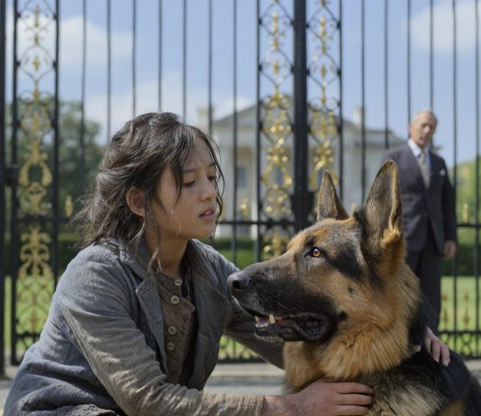 Čudesna snaga ljubavi: Kako je mala devojčica ukrotila psa i promenila sudbinu milijardera