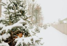 KADA U SRBIJU STIŽE PRAVA ZIMA? Meteorolozi najavili – OVAJ DATUM je prekretnica