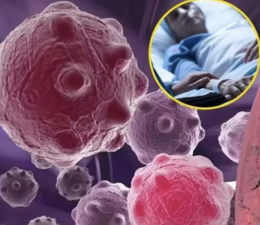 8 namirnica koje smanjuju upale i jačaju imunitet — savršen početak dana