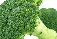 Priča o zmiji u brokuli