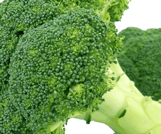 Priča o zmiji u brokuli